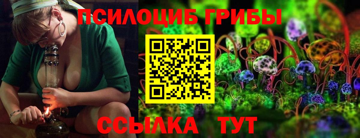 Чехов  Галлюциногенные грибы Cubensis  Псилоцибиновые грибы GOLDEN TEACHER  Вход с VPN 